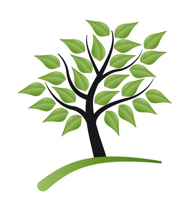 risikovurdering - træpleje - træfældning - biodiversitet